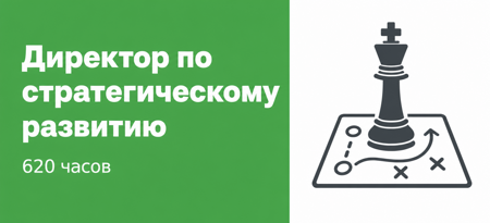 Директор по стратегическому развитию 620 часов